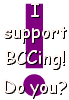 mybccsupport.gif (1548 bytes)